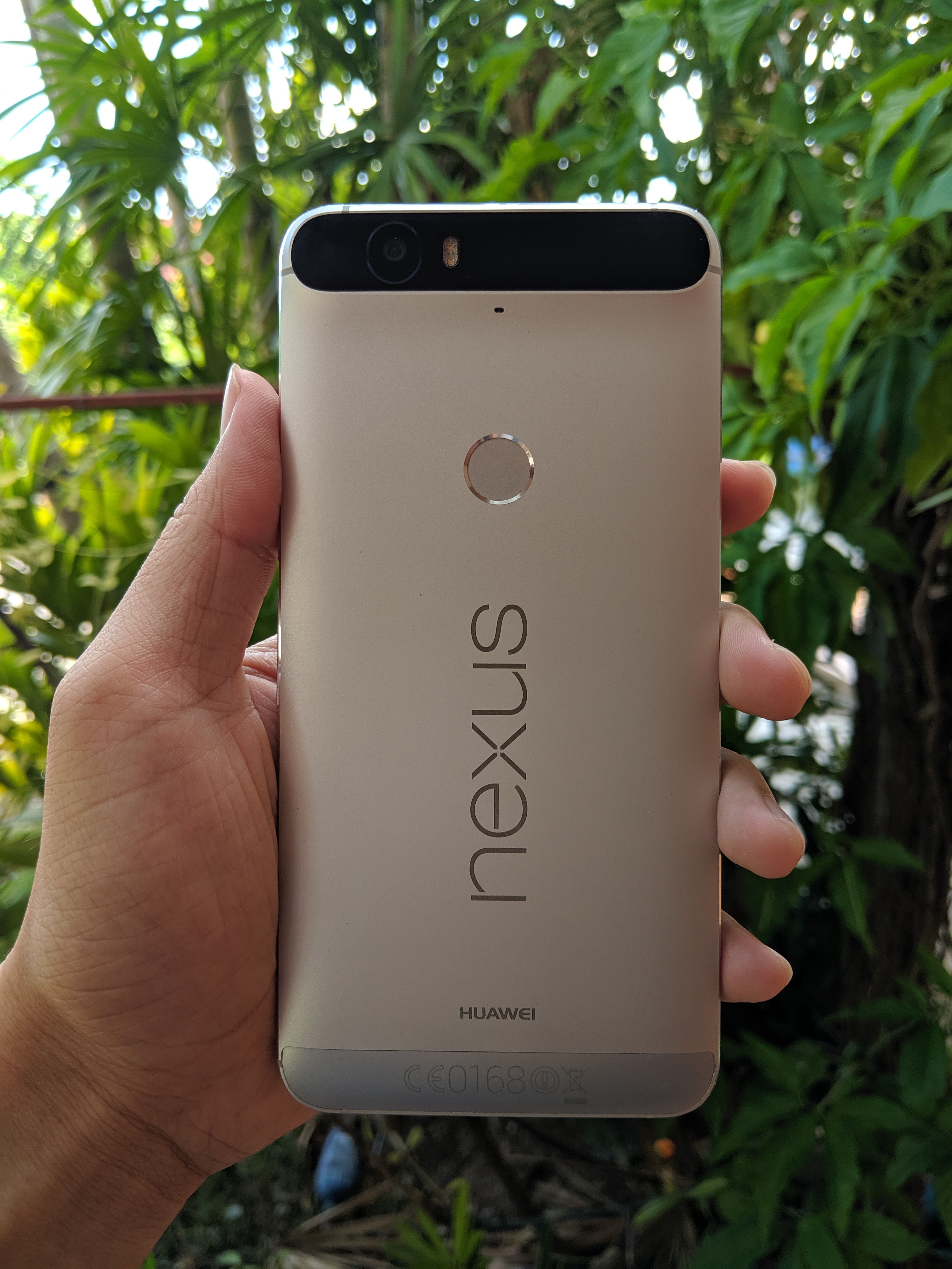 nexus6p